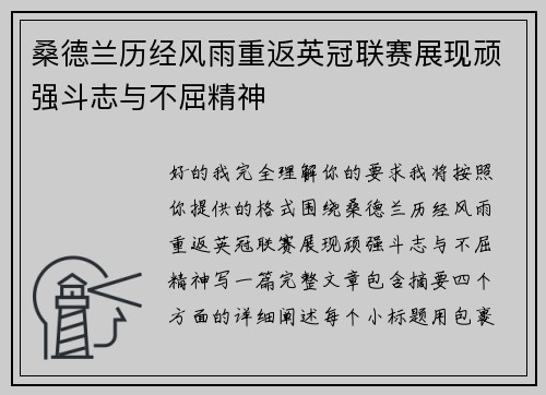 桑德兰历经风雨重返英冠联赛展现顽强斗志与不屈精神